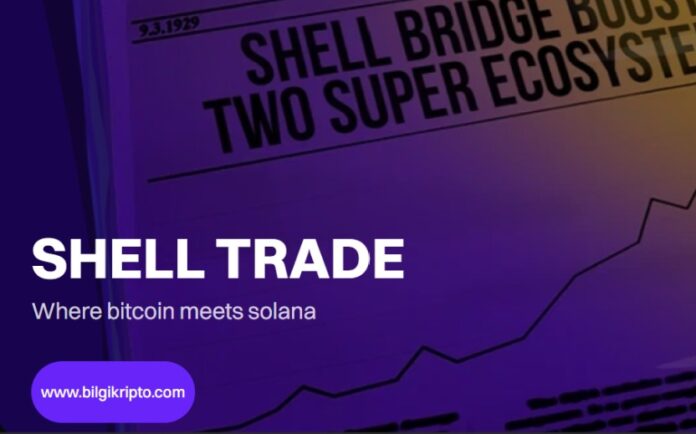Shell Trade (SS20) Coin / token nedir, nasıl alınır nereden alınır hangi borsada ne işe yarar amacı