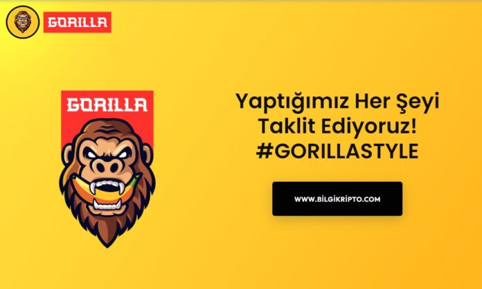 Gorilla Coin / Token yorum, geleceği, nereden alınır, fiyat tahminleri,  teknik analiz ve bugün ne olur