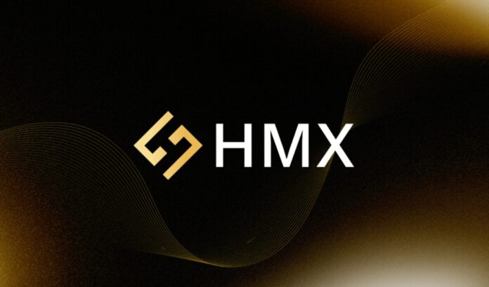 HMX coin nedir, nasıl alınır, yorum, geleceği ve fiyat tahminleri
