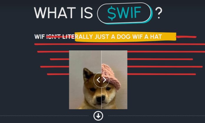 Dogwifhat WIF Token yorumları ve fiyat tahminleri