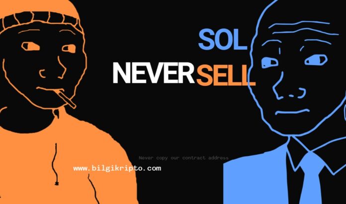 Neversol (Never) Coin nedir, nasıl alınır yorum geleceği fiyat analizleri