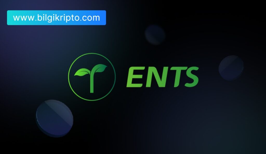 Ents Coin Nedir, Nasıl Alınır? - Bilgi Kripto