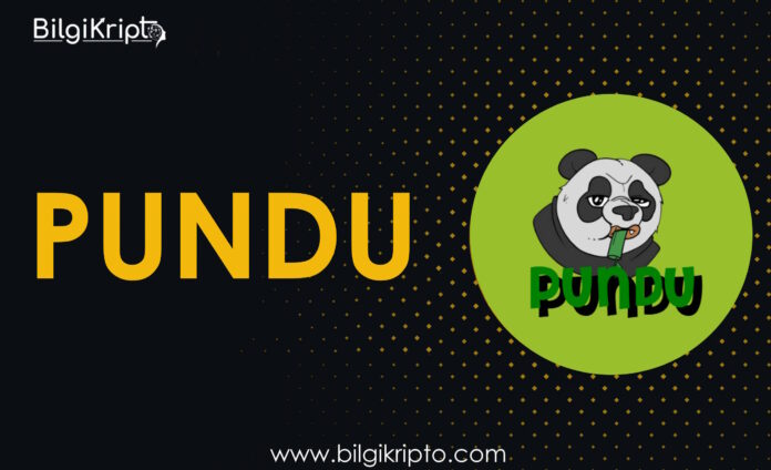 pundu coin yorum geleceği yorumları analizleri