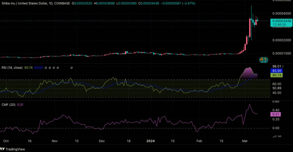 shiba shib coin yorumları yorum analizleri analiz grafik