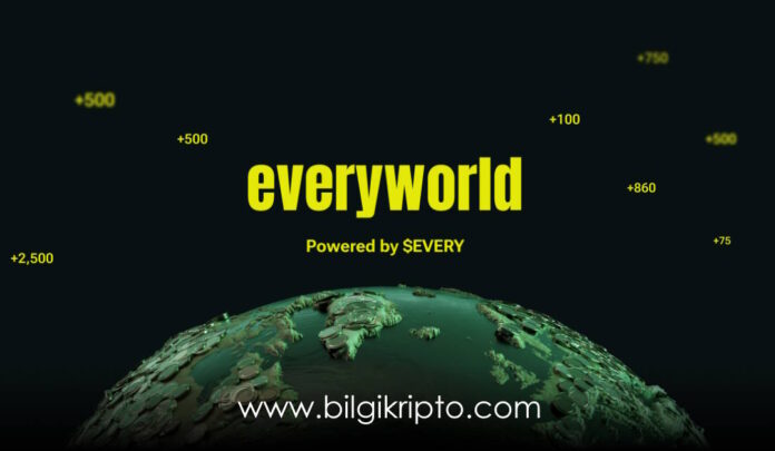 everyworld every coin token nedir, nasıl alınır, nereden alınır