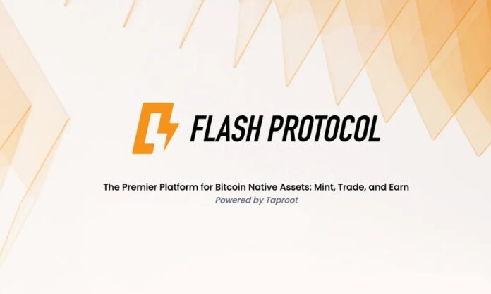 Flash coin nedir, nasıl alınır, nereden alınır yorum geleceği