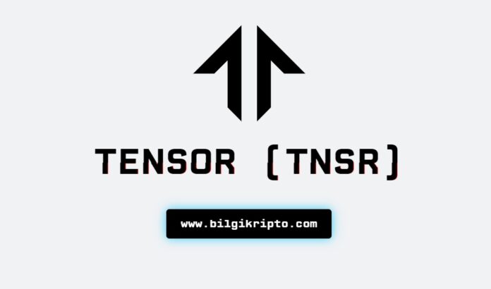 Tensor (TNSR) Coin fiyat tahminleri - tahmini 2024 Nisan, Mayıs, Haziran