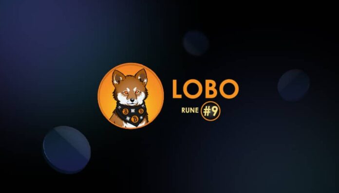 LOBO•THE•WOLF•PUP (LOBO) Coin Runes nedir, nasıl alınır? lobo runes rune memecoin runes memecoin