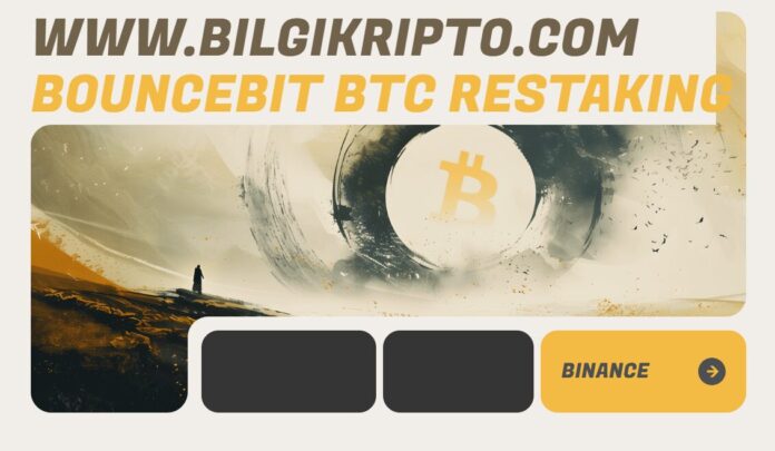 Bounce Bit (BB) Coin token yorum ve geleceği