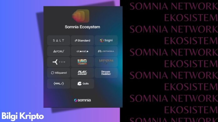 somnia ekosistem