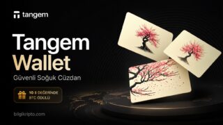 Tangem Wallet İncelemesi: Kripto Varlıklar İçin Güvenli Soğuk Cüzdan