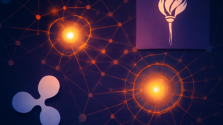 Ripple ve NYU Abu Dhabi Blockchain İşbirliğini Uzattı: 2027’ye Kadar Destek