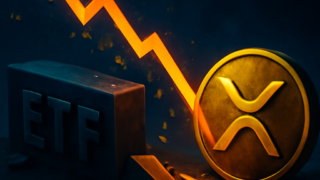 Canary XRP ETF: Varlıklar Düşerken Yatırımcı İlgisi Sürüyor